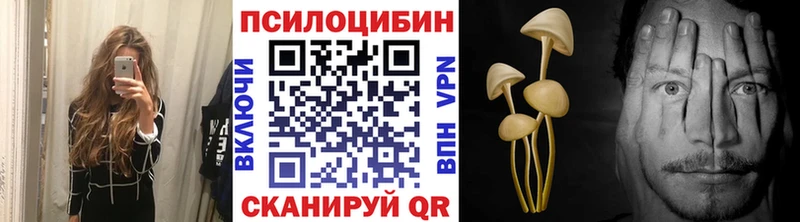 наркотики  Новохопёрск  Псилоцибиновые грибы мицелий 